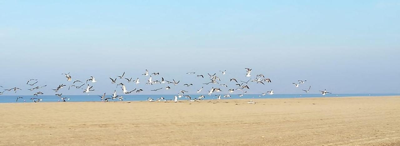 Apartamento En El Parque Natural Del Cabo De Gata Almería Zewnętrze zdjęcie